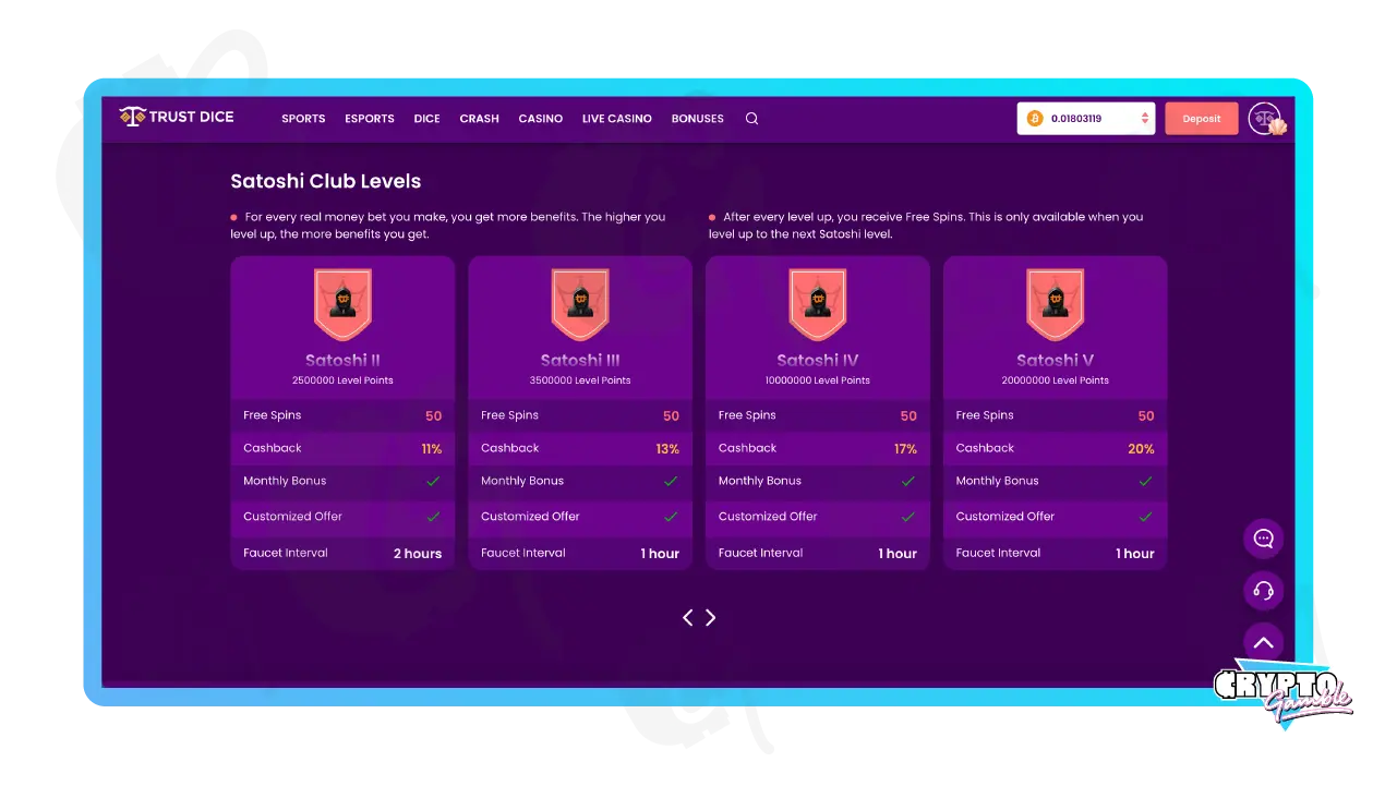 Screenshot of TrustDice Casino Vip Program Details on Desktop