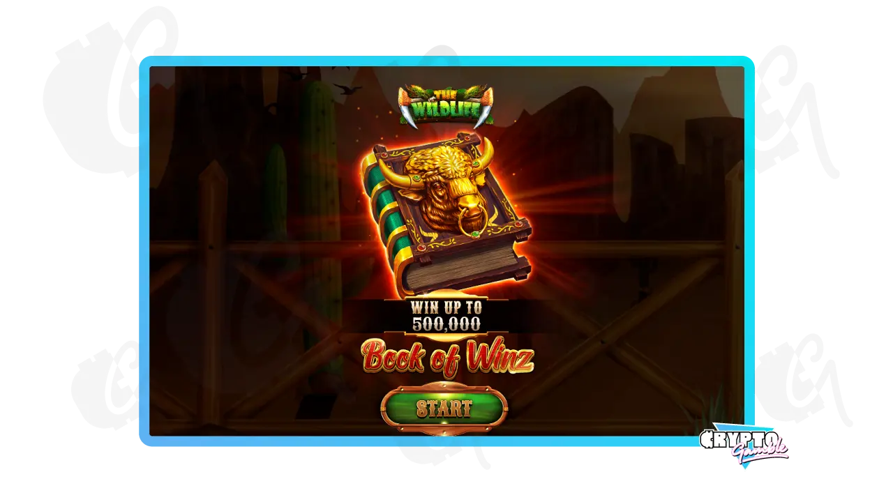 Book of Winz starting game screenshot of desktop view