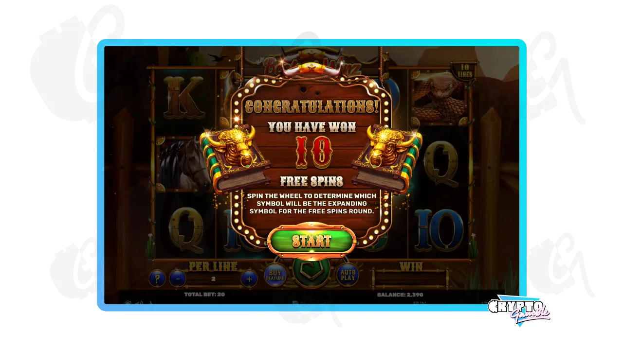 Book of Winz Bonus game awarded with 10 Free Spins screenshot of desktop view