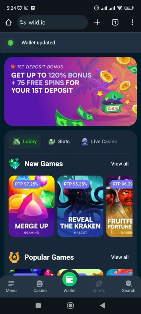 wild.io casino mobile interface overview